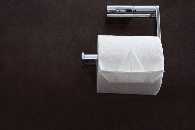 toaletní papír na WC